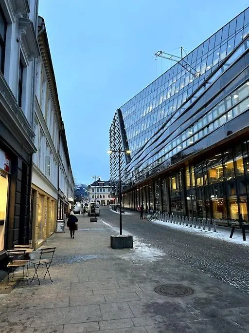 Cozy Apartment In Bergen City 0*,  Норвегия